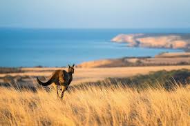 Great Ocean Road Photography Workshop - 26 tot 30 mei - 2024 - 4 plaatsen vrij!!! 