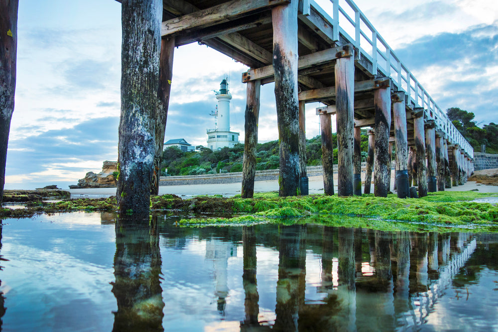 Down South Photo Workshop - Brendan Waites & Cam Blake - January 19th 2024 - SOLD OUT!!