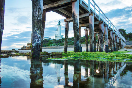 Down South Photo Workshop - Brendan Waites & Cam Blake - January 19th 2024 - SOLD OUT!!