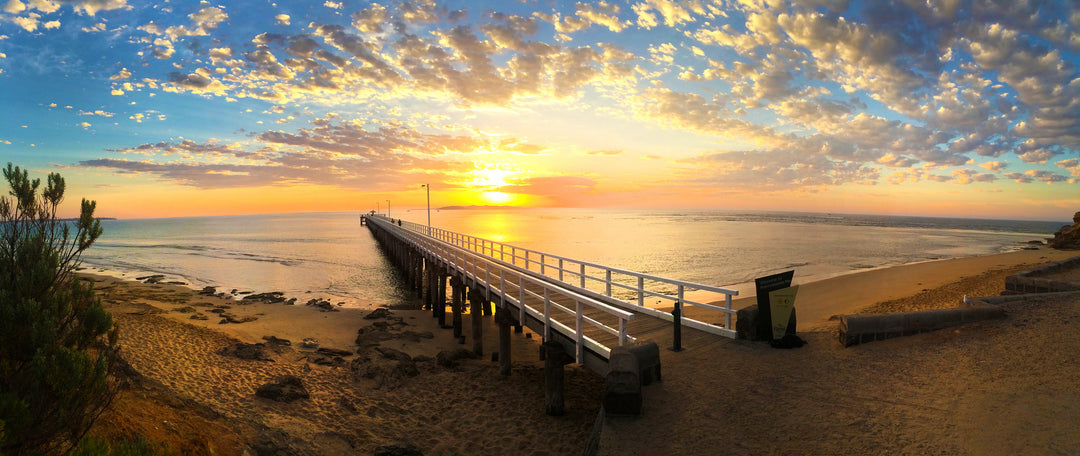 Down South Photo Workshop - Brendan Waites & Cam Blake - January 19th 2024 - SOLD OUT!!