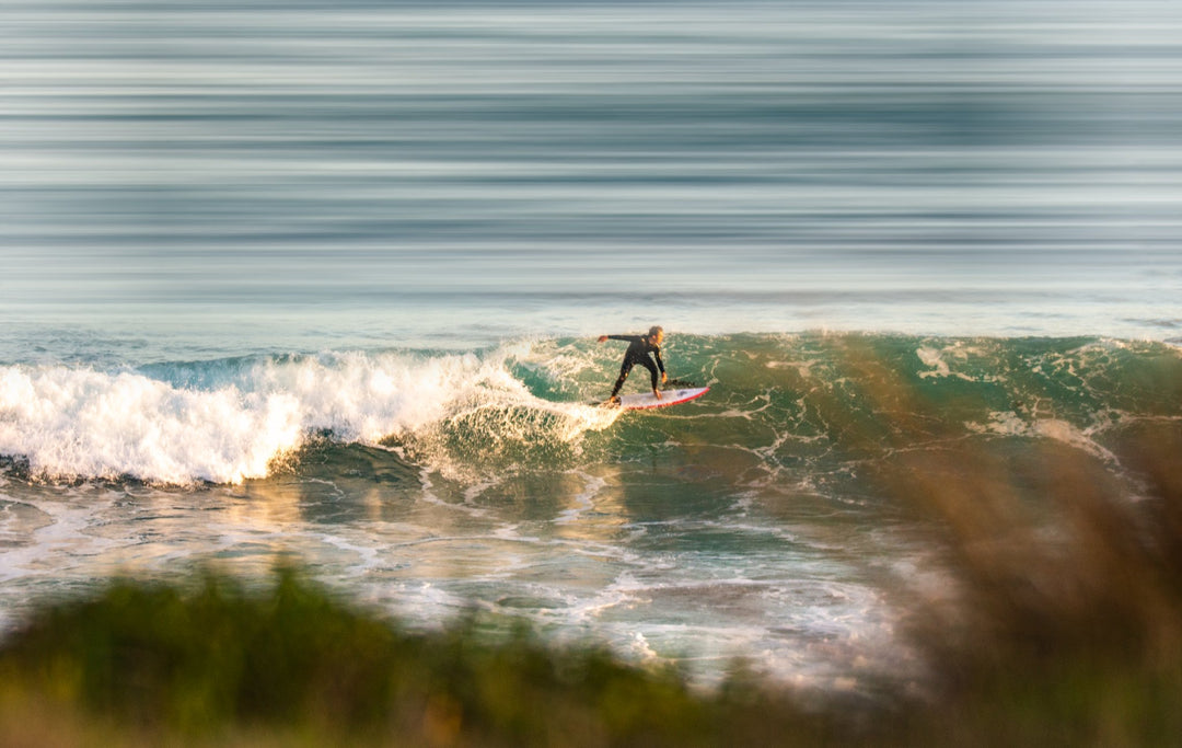 Down South Photo Workshop - Brendan Waites & Cam Blake - January 19th 2024 - SOLD OUT!!