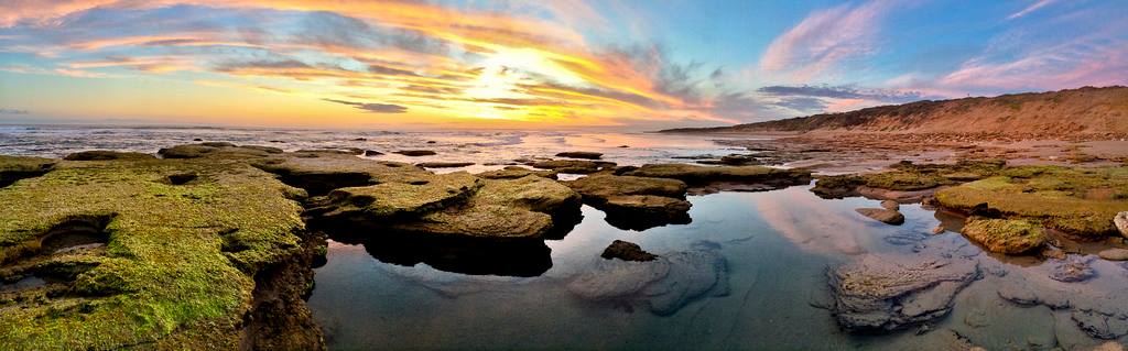 Down South Photo Workshop - Brendan Waites & Cam Blake - January 19th 2024 - SOLD OUT!!