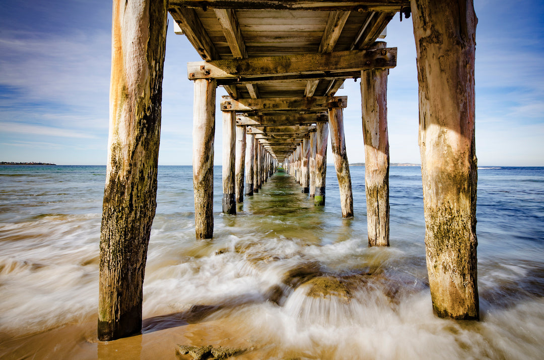 Down South Photo Workshop - Brendan Waites & Cam Blake - January 19th 2024 - SOLD OUT!!