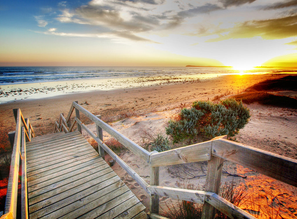 Down South Photo Workshop - Brendan Waites & Cam Blake - January 19th 2024 - SOLD OUT!!