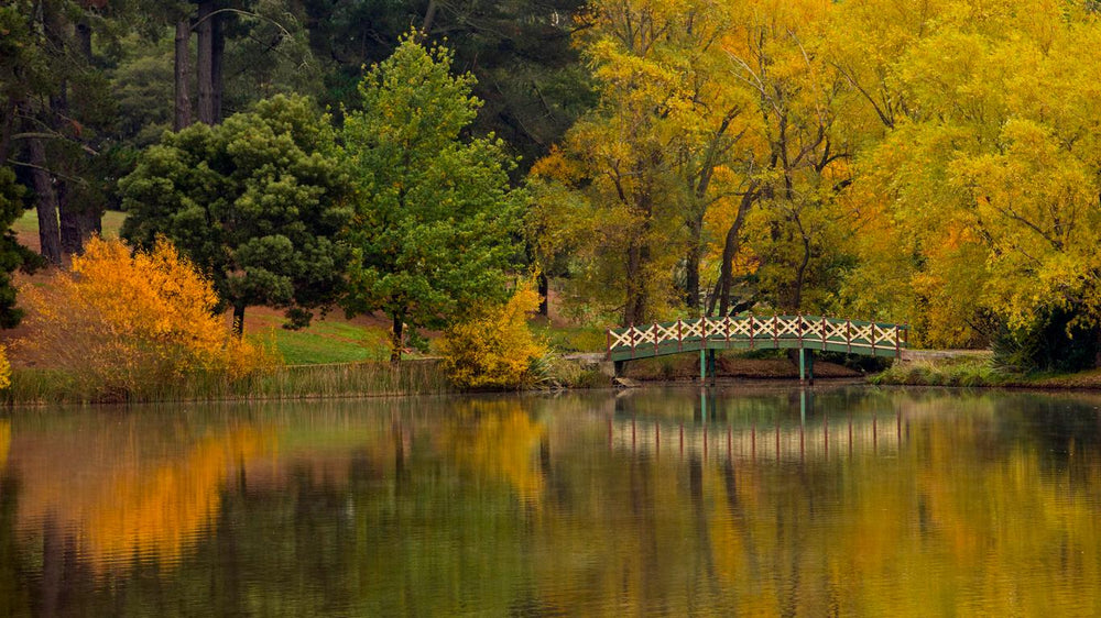 OM Day Daylesford Autumn - April 27th - 2023 - Only 2 Places Left
