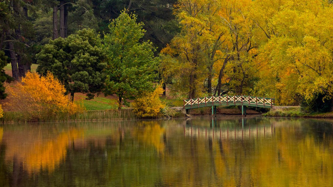 OM Day Daylesford Autumn - April 27th - 2023 - Only 2 Places Left