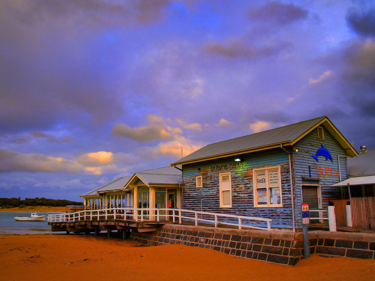 Down South Photo Workshop - Brendan Waites & Cam Blake - January 19th 2024 - SOLD OUT!!