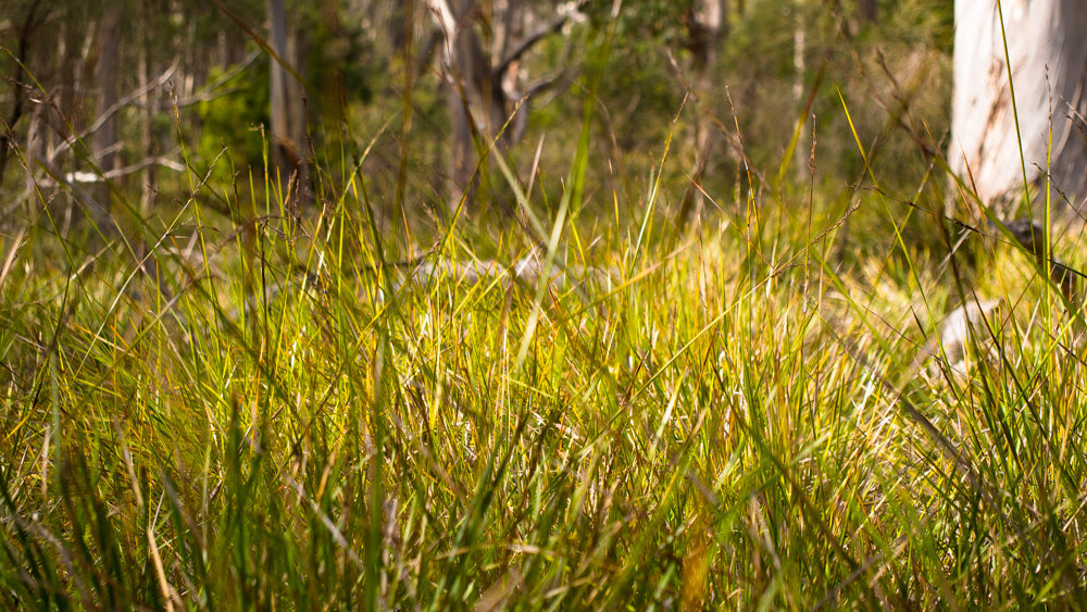 Bruny Island OM Digital Day - 12 februari - 2023 - 4 plaatsen vrij!