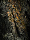 Bruny Island Photography Workshop - May 26th to 28th - 2023 - SOLD OUT!!!