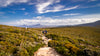 Overland Track Photography Tour - September 1st to 7th - 2022