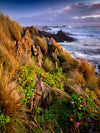 Tarkine Wilderness Photography Workshop - 20 tot 24 mei - 2023 - 3 plaatsen beschikbaar