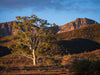 Uitzicht op de outback
