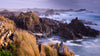 Tarkine Wilderness Workshop - October 14th to 18th 2022 - SOLD OUT