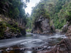 Franklin River Rafting PhotoTour - November 11th to 18th (8 Days) - 2022 - SOLD OUT!!!