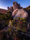 Alpine Gardens