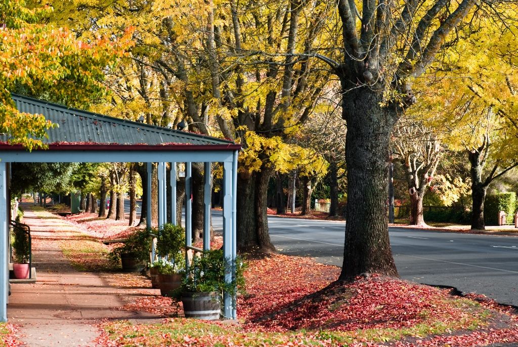OM Day Daylesford Autumn - April 27th - 2023 - Only 2 Places Left