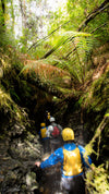 Franklin River Rafting PhotoTour - 11 tot 18 november (8 dagen) - 2022 - UITVERKOCHT!!!