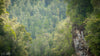 Franklin River Rafting PhotoTour - November 11th to 18th (8 Days) - 2022 - SOLD OUT!!!