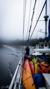 Franklin River Rafting PhotoTour - 11 tot 18 november (8 dagen) - 2022 - UITVERKOCHT!!!