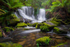 Beautiful Horseshoe Falls