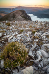 Drift Wood Mountains