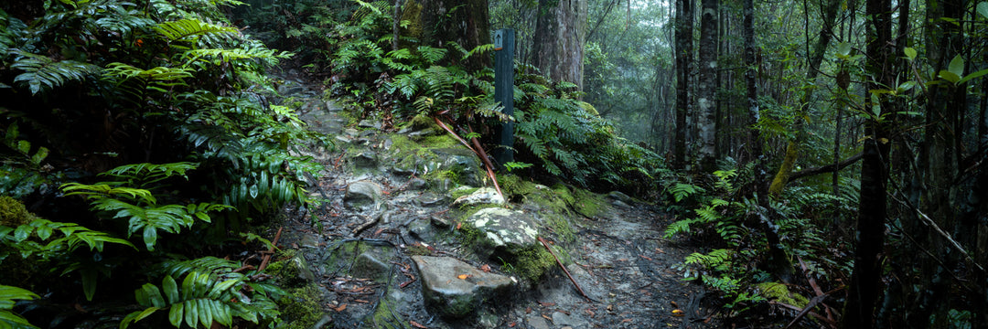 Octopustuin - Mount Wellington (Panorama)