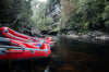 Franklin River Rafting PhotoTour - 11 tot 18 november (8 dagen) - 2022 - UITVERKOCHT!!!
