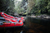 Franklin River Photography Tour - Nov 10th to 18th (8 Days) - 2023 -  2 NEW PLACES OPEN