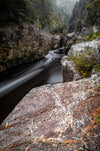 Franklin River Rafting PhotoTour - November 11th to 18th (8 Days) - 2022 - SOLD OUT!!!