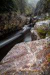 Franklin River Photography Tour - Nov 10th to 18th (8 Days) - 2023 -  2 NEW PLACES OPEN