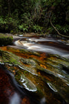 Franklin River Rafting PhotoTour - November 11th to 18th (8 Days) - 2022 - SOLD OUT!!!