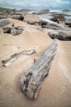 Driftwood