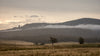 Fototour langs de oostkust van Tasmanië - 19 tot 24 augustus 2022 - UITVERKOCHT!!!