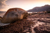 Mornings Rock - Flinders Island