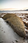 Flinders Island Fotografieworkshop - 13 tot 18 mei 2023 - UITVERKOCHT!!!