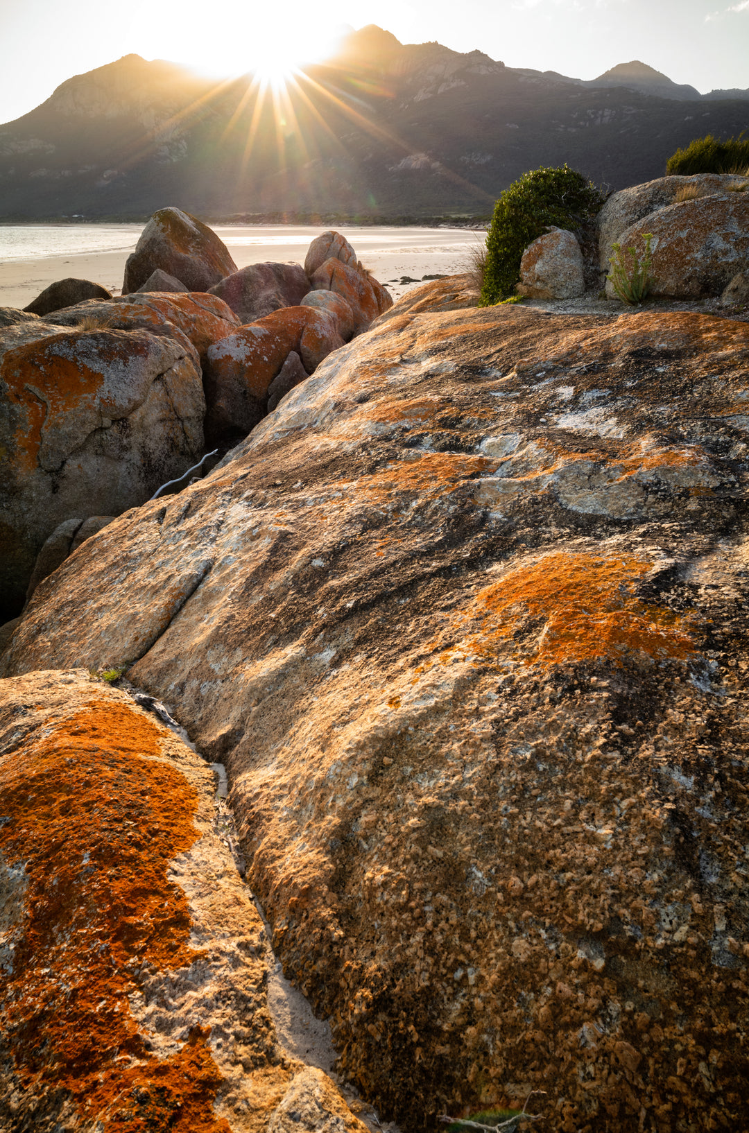 Strzelecki-dagen - Flinders Island