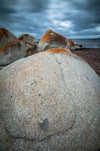 Wij houden van Flinders - Flinders Island