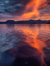 Southwest Wilderness 3-daags kamp - 19 tot 21 maart - 2024 - Melaleuca - Bathurst Harbor - Fototour - UITVERKOCHT !!
