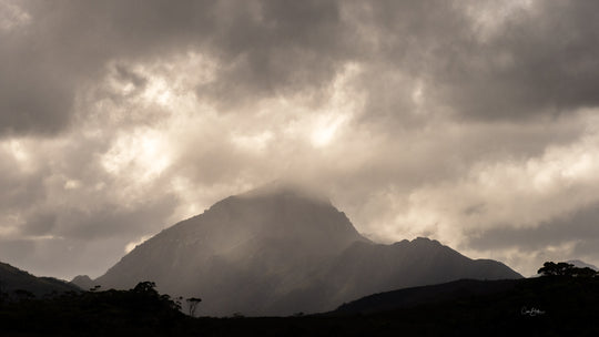Southwest Wilderness 3-Day Camp - March 26th to 28th - 2022 - Melaleuca - Bathurst Harbour - PhotoTour