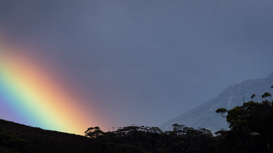 Southwest Wilderness 3-Day Camp - October 30th to Nov 1st - 2022 - Melaleuca - Bathurst Harbour - PhotoTour
