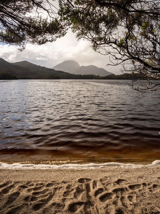Southwest Wilderness 3-Day Camp - March 26th to 28th - 2022 - Melaleuca - Bathurst Harbour - PhotoTour
