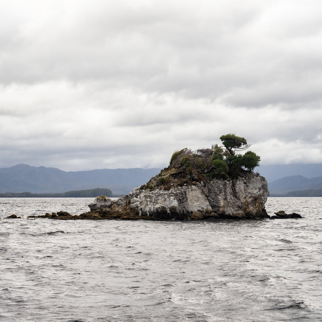 Southwest Wilderness 3-Day Camp - October 30th to Nov 1st - 2022 - Melaleuca - Bathurst Harbour - PhotoTour