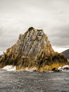 Southwest Wilderness 3-daags kamp - 19 tot 21 maart - 2024 - Melaleuca - Bathurst Harbor - Fototour - UITVERKOCHT !!