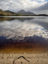 Southwest Wilderness 3-daags kamp - 19 tot 21 maart - 2024 - Melaleuca - Bathurst Harbor - Fototour - UITVERKOCHT !!
