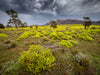 Ikara - Flinders Ranges &amp; Lake Eyre Workshop - 18 tot 23 september - 2023 - UITVERKOCHT!! 