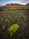 Ikara - Flinders Ranges &amp; Lake Eyre Workshop - 18 tot 23 september - 2023 - UITVERKOCHT!! 