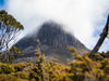 Overland Track Photography Tour - September 1st to 7th - 2022