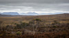 Overland Track Photography Tour - September 1st to 7th - 2022