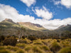 Overland Track Photography Tour - September 1st to 7th - 2022