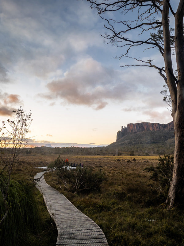 Overland Track Photography Tour September 1st to 7th 2022